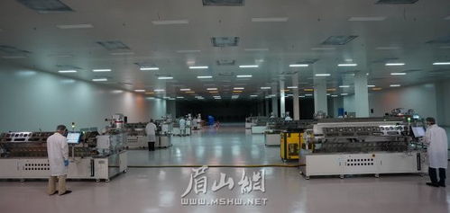 眉山建成國內最大OLED材料生產基地，新材料技術研發引領產業升級