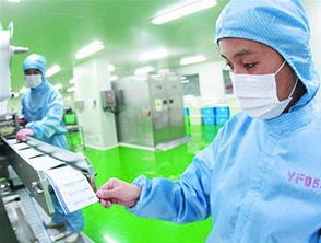 優化創新創業環境，加速新材料技術研發與高端資源集聚