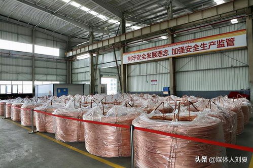 向綠而行，智造未來 湘潭金龍新材料的技術創新之路