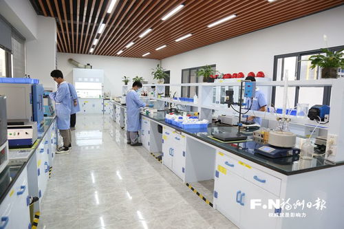 做強非公黨建 引領福州民企向“新”而行